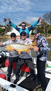 La gran Fiesta del Dorado se vivió en Paso de la Patria